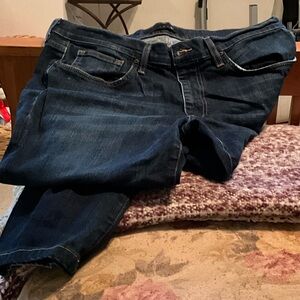 Joe's Jeans Indigo Denim